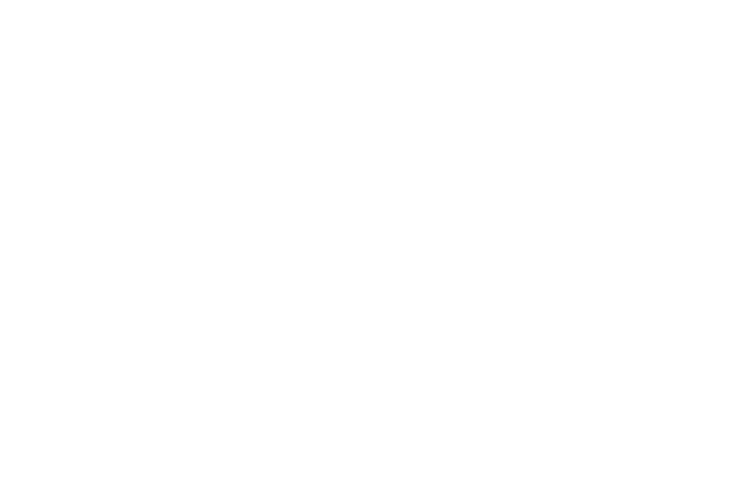 logo du partenaire Lariviere Voyages